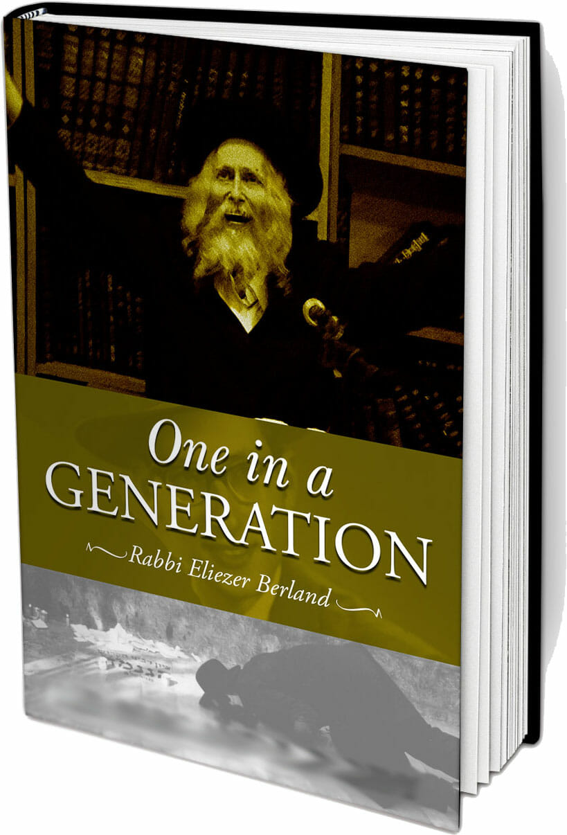 Cover of One in a Generation — Volume 2