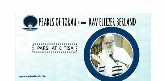 Torah pearls for Ki Tisa: The importance of binding to the true Tzaddik