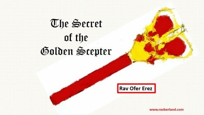 Rav Ofer Erez shares more Purim secrets