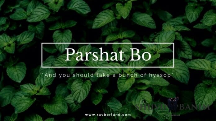 Parshat Bo