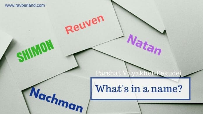 what's in a name?
