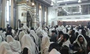 Rav Berland Breslov Shul