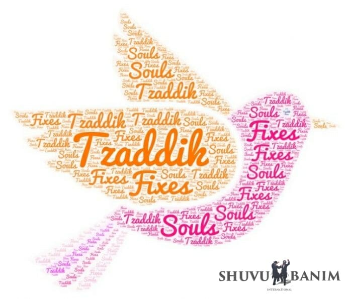 Word cloud picture of a dove, with 'Tzaddik fixes souls'