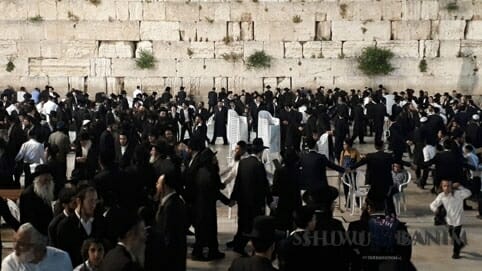 Hundreds of people praying at the Kotel for the recovery of Rabbi Eliezer Berland