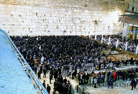 prayer rally for rabbi berland