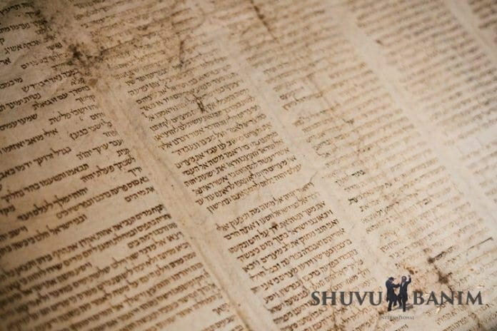 Torah scroll