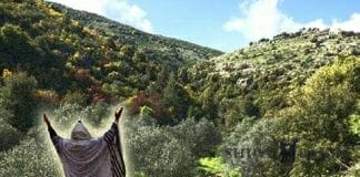 Praying in Meron